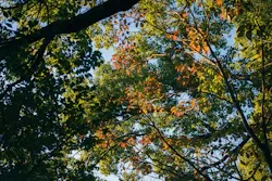 合理性ではなく、10年分の後悔をしないために——RX1R IIIを買う話